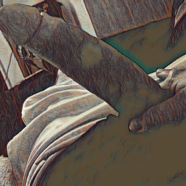 sancho87
