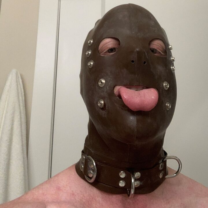 rbbrpigtoilet