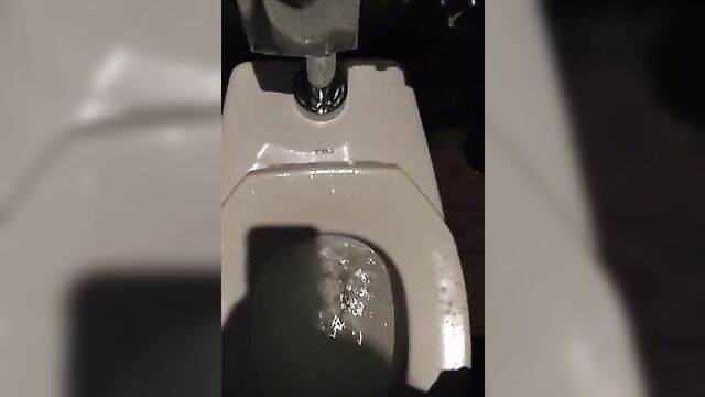 Pissing all over the toilet in a restaurant