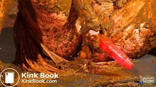 Betty Loves Manure - Masturbating in cowshit