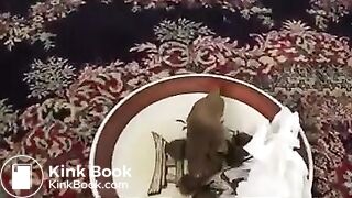 Bardzo twarde gówno