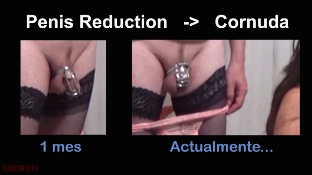 Reduce penis size with smaller Chastity Belt