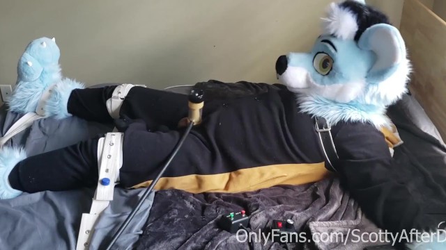 Fursuit Cock Milking Beyond Orgasm While Tied Up in the Segufix