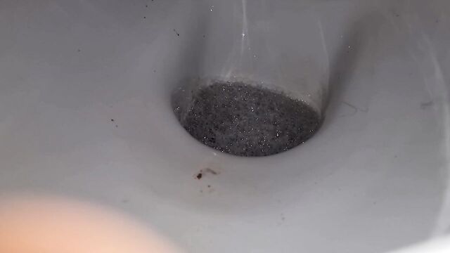 Fart and two little soft poop into the toilet