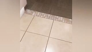EBONY PRINCESS HAYZE SUCKING DICK IN THE ELEVATOR & ON THE 13TH FLOOR!!! MUST WATCH!!!