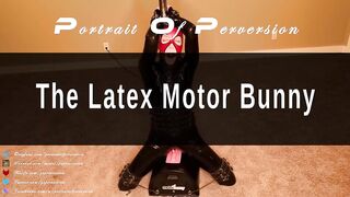 The Latex Motor Bunny - Sexy rubber dressed girl rides a Sybian then is made to cum in bondage on it