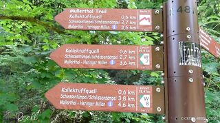 PREVIEW: CRUEL REELL - SIGHTSEEING À LA REELL - THE MULLERTHAL TRAIL COMPILATION