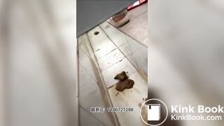 The Girl Defecated In The Dirty Toilet 36