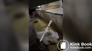 Beautiful women pooping in the toilet 22