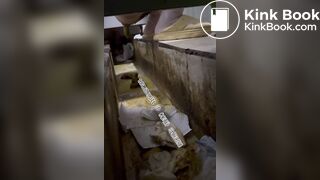 Beautiful women pooping in the toilet 22