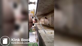 Beautiful women pooping in the toilet 37