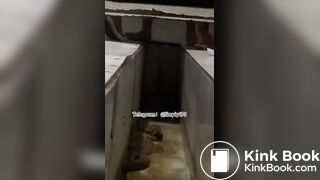 Beautiful women pooping in the toilet 44