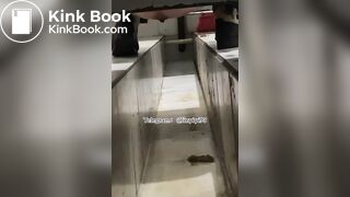 Beautiful women pooping in the toilet 44