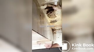 Beautiful women pooping in the toilet 45