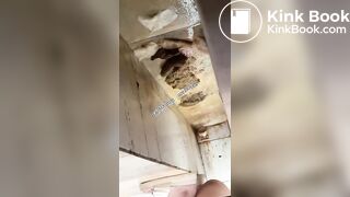 Beautiful women pooping in the toilet 45