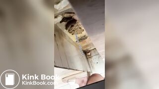 Beautiful women pooping in the toilet 45