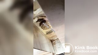 Beautiful women pooping in the toilet 45