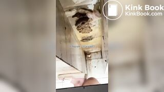 Beautiful women pooping in the toilet 45