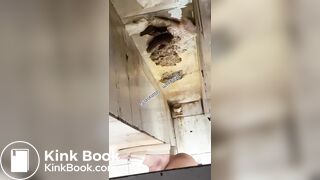 Beautiful women pooping in the toilet 45