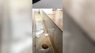 Beautiful women pooping in the toilet 47