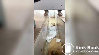 Beautiful women pooping in the toilet 47