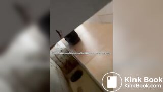 Beautiful women pooping in the toilet 60