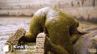 Diving in the manure pit full of cowshit