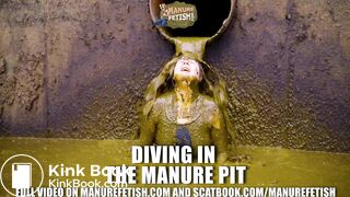 Diving in the manure pit full of cowshit