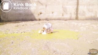 Diving in the manure pit full of cowshit