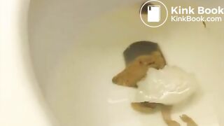 constipated chick