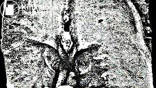 Scatmother - Beltbuckle Discipline ("Purulent Sublimity" Full-Length)