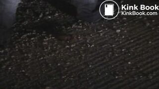 very beutiful big ass shitting 3