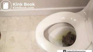 Denver Toilet Dump