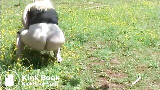 Fat woman shitting in the field