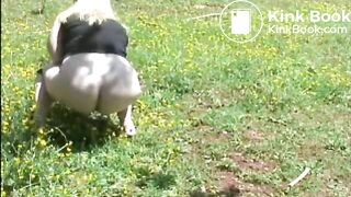 Fat woman shitting in the field