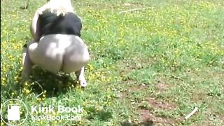 Fat woman shitting in the field