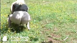 Fat woman shitting in the field