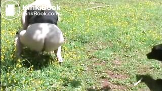 Fat woman shitting in the field