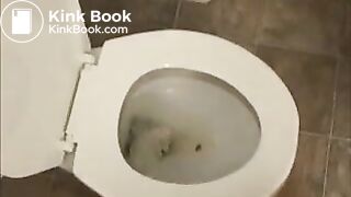 pooping chicks