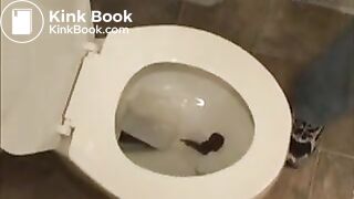pooping chicks