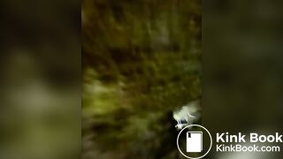 piss poop_toilet
