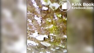 piss poop_toilet