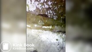 piss poop_toilet
