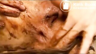 Caca sur le canapé blanc