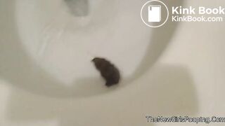 shit_031