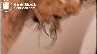 Sherry Toilet great 1190554