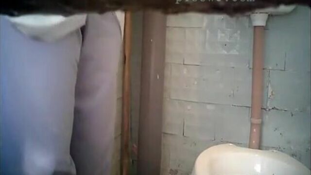 toilet squatting poop