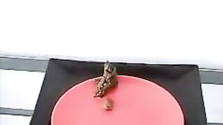 no2) tattoo pussy Juliet shitting Blond on counter