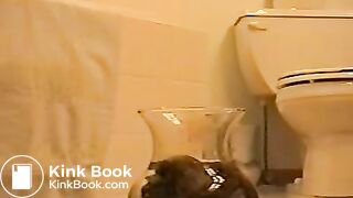 shitting into water bowl
