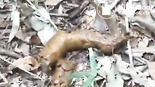 japaneese cheerleaders poop outdoors